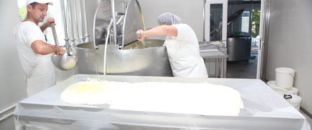 Биљана Крин Рожанство